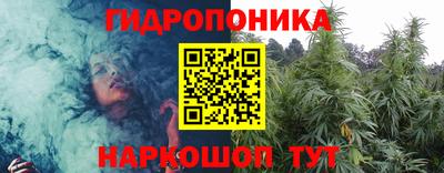 стаф Лесосибирск