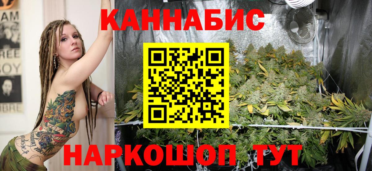 Каннабис план Вязники